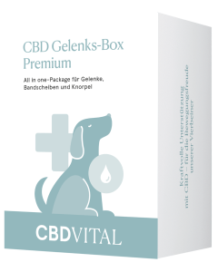 CBD Gelenks-Box Premium