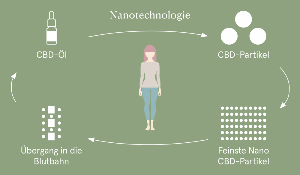 CBD Nanotechnologie